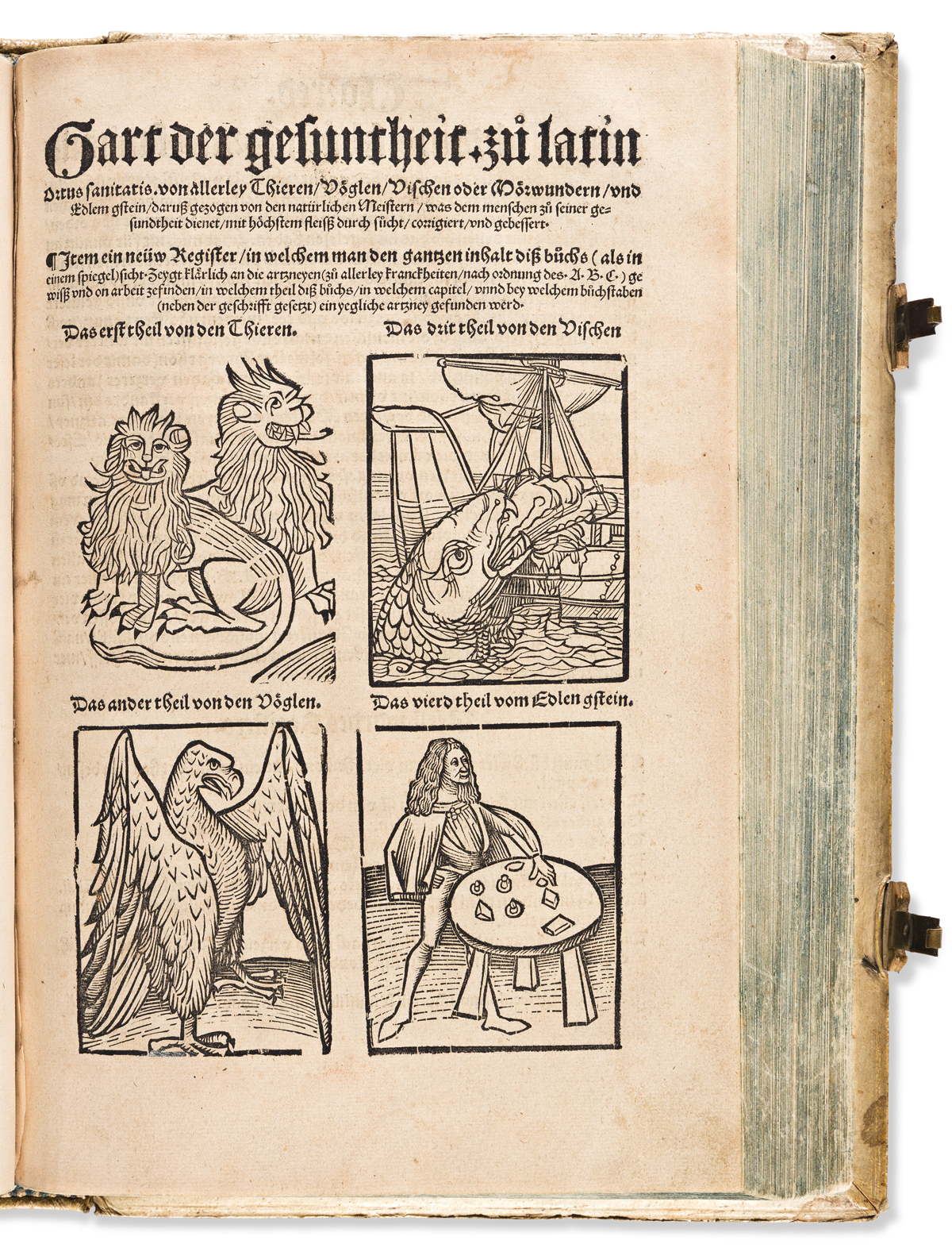 Fries, Lorenz (circa 1485-1532) Der Spiegel der Artzney. [bound with] Gart der Gesuntheit; zu Latin Ortus Sanitatis.